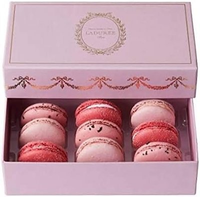 ラデュレ アンコントゥルナーブル パルム 9個入 マカロン バレンタイン ホワイトデー