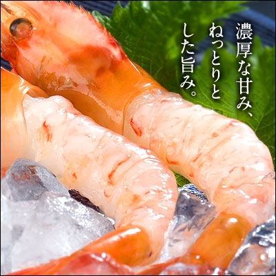 人気の美味しいエビギフト 通販 お取り寄せ21 活エビやエビシュウマイなどおすすめをご紹介 ベストプレゼントガイド 人気の美味しいエビギフト 通販 お取り寄せ21 活エビやエビシュウマイなどおすすめをご紹介 ベストプレゼントガイド