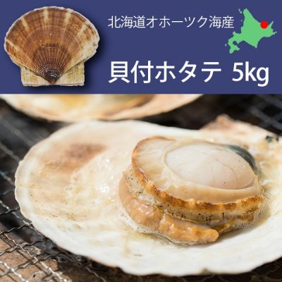 人気の美味しいほたて 通販 お取り寄せ21 貝柱や殻付きがギフトにおすすめ ベストプレゼントガイド