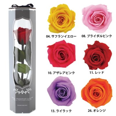 誕生日プレゼントに喜ばれる1000円で買える人気の花ギフト12選 アレンジメントや一輪のバラがおすすめ ベストプレゼントガイド