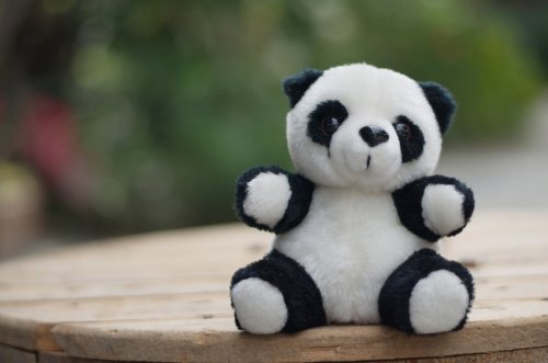 9 Boneka Panda Imut Untuk Teman Tidur Para Jomblo Penakut