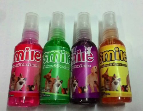 Bikin Kucing Kesayanganmu Wangi Sepanjang Hari Dengan 10