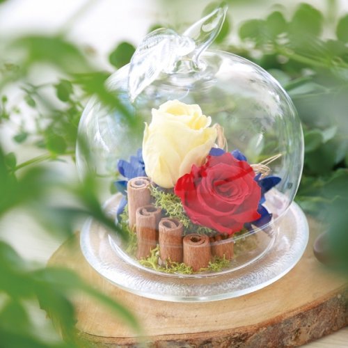 素敵なガラス付きフラワーギフト22 美女と野獣の一輪のバラはロマンティックと好評 ベストプレゼントガイド