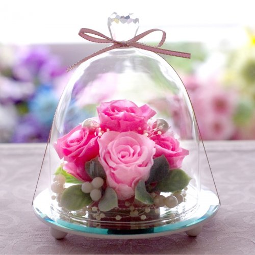素敵なガラス付きフラワーギフト22 美女と野獣の一輪のバラはロマンティックと好評 ベストプレゼントガイド
