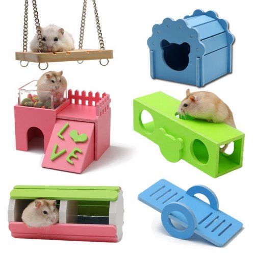 56 Gambar Desain Rumah Hamster Terbaru