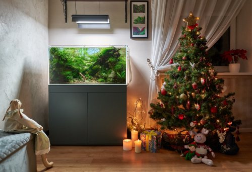 lampu aquascape 40 cm