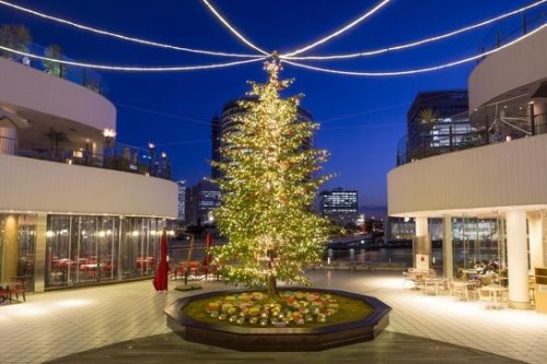 15年 神奈川の注目クリスマスイベント 横浜ベイクォーター クリスマスイルミネーション 開催 ベストプレゼントニュース