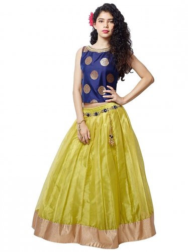ghagra choli for 14 year olds