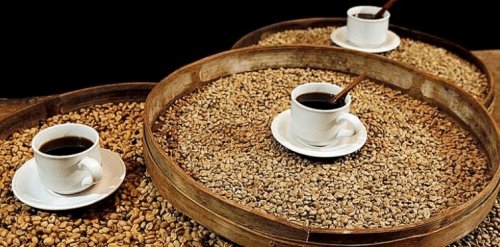 Hasil gambar untuk kintamani kopi