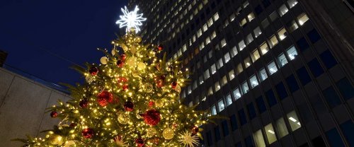 新宿 代々木エリアでクリスマスランチに人気のレストラン 東京編 ベストプレゼントガイド