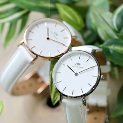 Daniel Wellington(ダニエルウェリントン)-レディース腕時計ストラップ