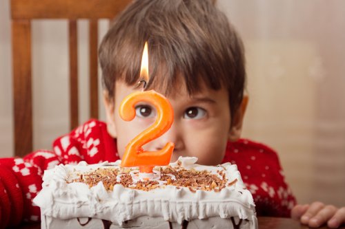 2歳への誕生日プレゼント 人気ランキング ベストプレゼント