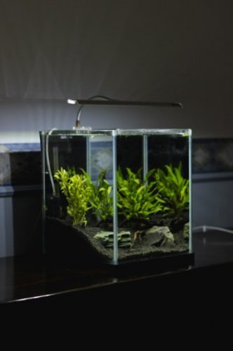 Tertarik Membuat Aquascape Ini 10 Langkah Membuat Aquascape Minimalis Dan Rekomendasi Produk Yang Bisa Anda Gunakan