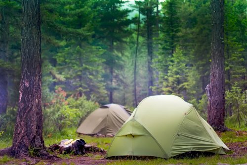 Here S What You Need To Know When You Go Camping With Kids And