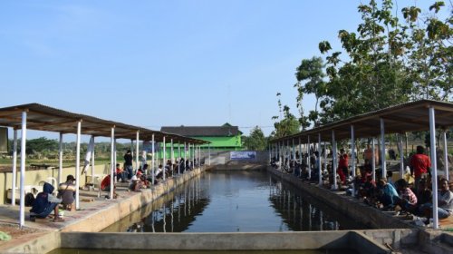 Contoh Kolam  Pemancingan  Ikan InfoAkuakultur com