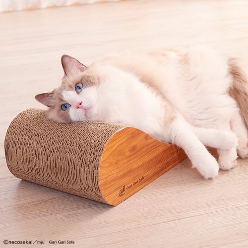 愛猫専用のソファ型クラウチングタイプの爪とぎ ガリガリソファ スクラッチャー インテリア の開発秘話を解明 有限会社エイムクリエイツ ベストプレゼントガイド