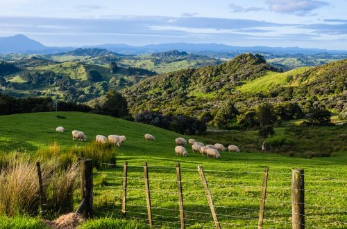 Berkunjung Ke New Zealand Negeri Penuh Pemandangan Dan Awan