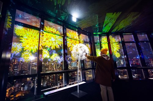 東京でバレンタインのディナーに人気のレストラン21 ベストプレゼントガイド