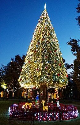 名古屋周辺エリアでクリスマスランチ 愛知で雰囲気抜群の人気レストラン大集合 ベストプレゼントガイド