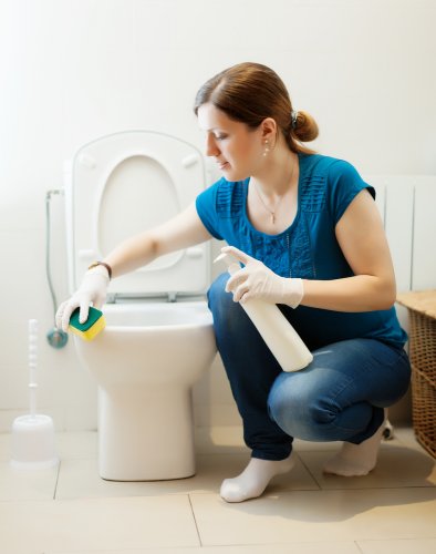 Rekomendasi Pembersih Toilet Duduk Terbaik 2019