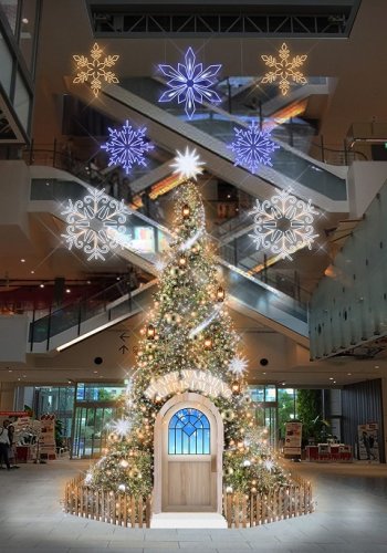 神奈川 横浜周辺エリアでクリスマスランチに人気のレストラン ベストプレゼントガイド
