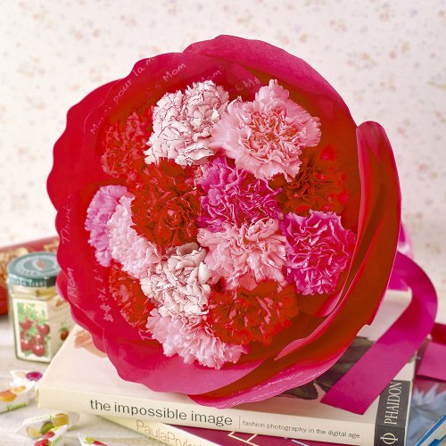 母の日に喜ばれるカーネーションの花束 人気 おすすめランキングtop15 21年版 ベストプレゼントガイド