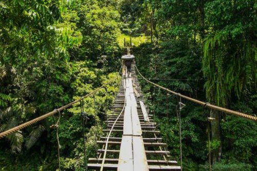 Siap Liburan Ini Dia 10 Pesona Destinasi Wisata Langkat