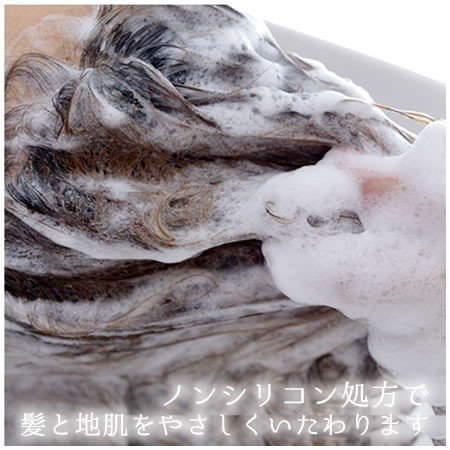 口コミで大人気のボタニカルシャンプー人気ブランドランキングtop10 ベストプレゼントガイド