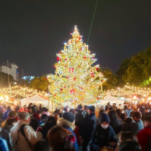 愛知のクリスマスディナー特集 栄周辺エリアで人気のレストラン ベストプレゼントガイド