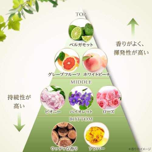 口コミで大人気のボタニカルシャンプー人気ブランドランキングtop10 ベストプレゼントガイド