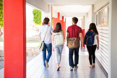 Long handbags for online college