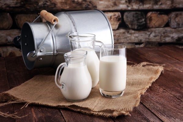 Jaga Kesehatan Tubuh dengan Mengonsumsi 10 Rekomendasi Susu Pasteurisasi Terbaik 2023!