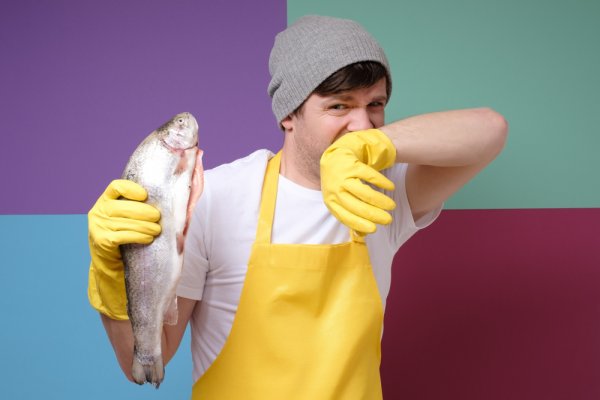 Bau Amis Membuat Mual, Ini 10 Tips Memasak Ikan Agar Tidak Amis dan Tetap Lezat! (2023)