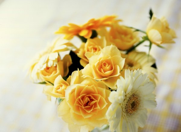 プリザーブドフラワーの贈り物 上品な仏花やおしゃれな時計などおすすめ商品をご紹介 ベストプレゼントガイド