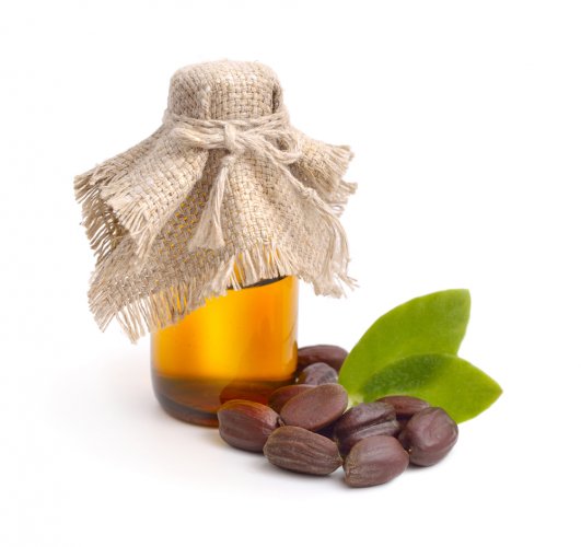 Discover All about the Miracle of Jojoba Oil, and Learn More about the Best Jojoba Oils Brands Present in the Indian Market(2021)!