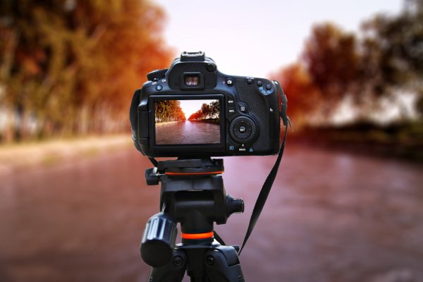 8 Rekomendasi Tripod Kamera Berkualitas dan Terjangkau ini Cocok untuk Hobi Fotografi! (2023) 