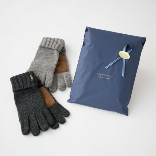 定価19800円 新品 店舗限定 BEAMS the A カシミヤ グローブ クリスマス