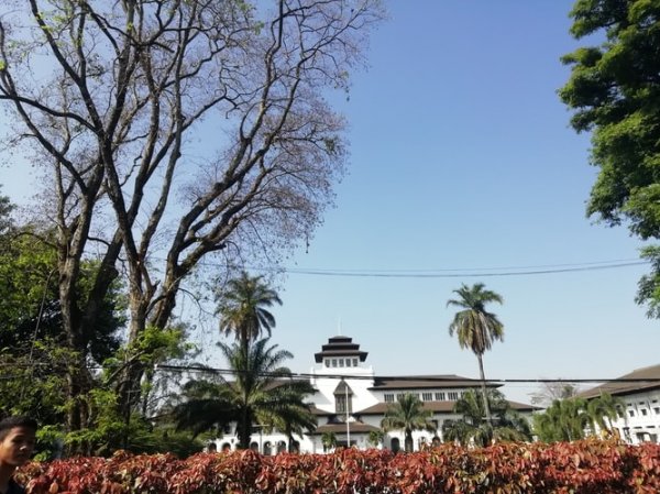 Makan-makan Asyik di 8 Restoran Paling Instagramable di Bandung (2023)