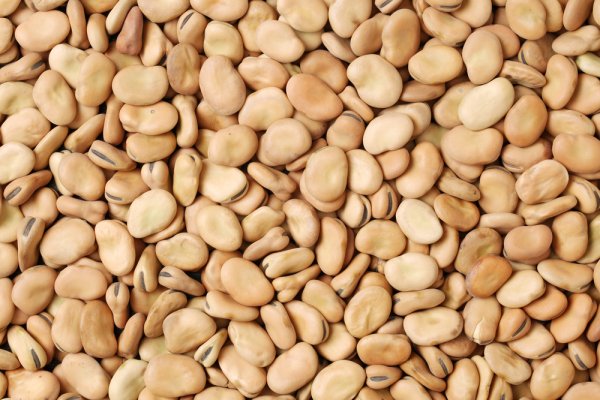 Saat Santai, 10 Rekomendasi Camilan Kacang Koro Ini Bisa Jadi Pilihan! (2023)
