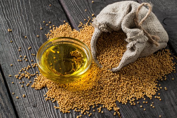 Discover the Best Mustard Oils Available in India Today: Give Your Family a Health Boost! (2023)