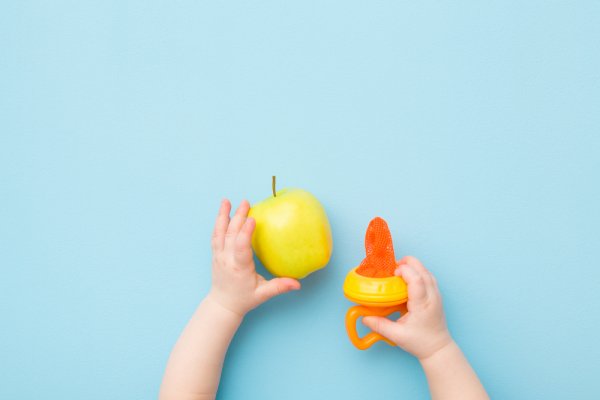 10 Rekomendasi Empeng Buah Terbaik Untuk Bayi Agar Si Kecil Belajar Makan Sendiri (2022)