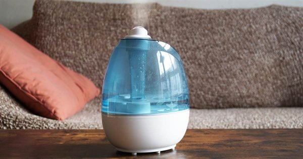 Looking for Natural Humidifiers for Your Home? Checkout These Options and Natural Alternatives to Maintain Optimum Humidity 2020.