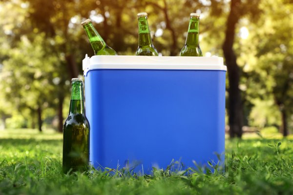 15 Rekomendasi Cooler Box Terbaik untuk Berbagai Aktivitas Outdoor dari BP-Guide! (2023)