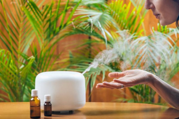 30 Easy-to-Use Diffusers for Home Handpicked for You: Make Your Surroundings Fragrant with Uplifting Aromas (2022)