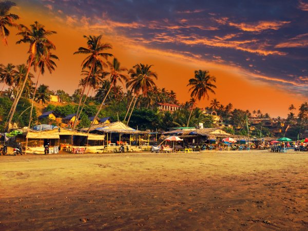 अगर आपको सुंदर समुद्र तट, समुद्र, ऊंचे ताड़ के पेड़, स्वादिष्ट भोजन, पार्टियां और स्ट्रीट शॉपिंग के सपने सताने लगे हैं तोह गोवा जाने का समय आ गया है! गोआ में घूमने के लिए 10 बेहतरीन जगहें (2020)