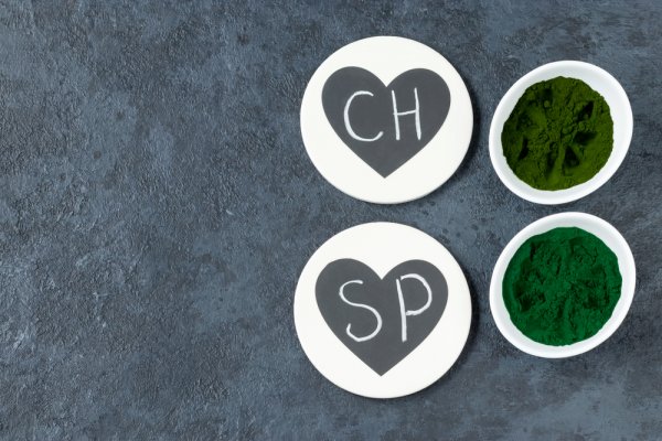 Superfoods and Dietary Supplements Used by Astronauts That You Should Check Out: Chlorella vs Spirulina! Two Above Board Superfoods to Include in Your Diet.