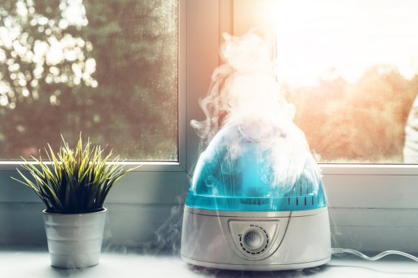 Dry Skin, Cracked Lips, Dry Sinuses? Its Time for a Humidifier! Whether it's for a Room or a Hall, We Have Got You Covered with the Best Humidifiers Available in India 2021
