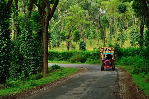 10 Best Places to Visit in Coorg: An Escape to the Cool Climes of a Green Wonderland at the Heart of South India is Much Recommended in 2019