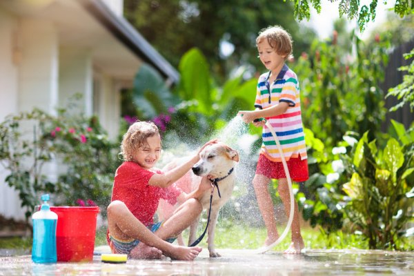 Gợi ý 10 loại sữa tắm cho chó con giúp làm sạch cho cún yêu của bạn (năm 2022)