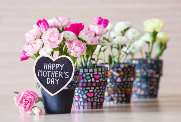 母の日ギフトにおすすめの花の鉢植え 人気ブランドランキングTOP18【2022年版】 | ベストプレゼントガイド
